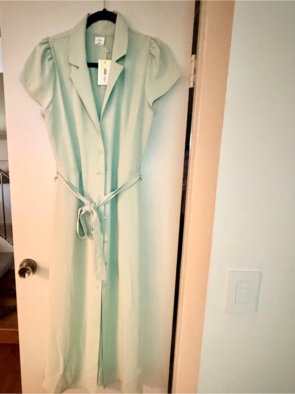 Aritzia “silver-sage green” Button-Front Maxi Dress with Tie Belt